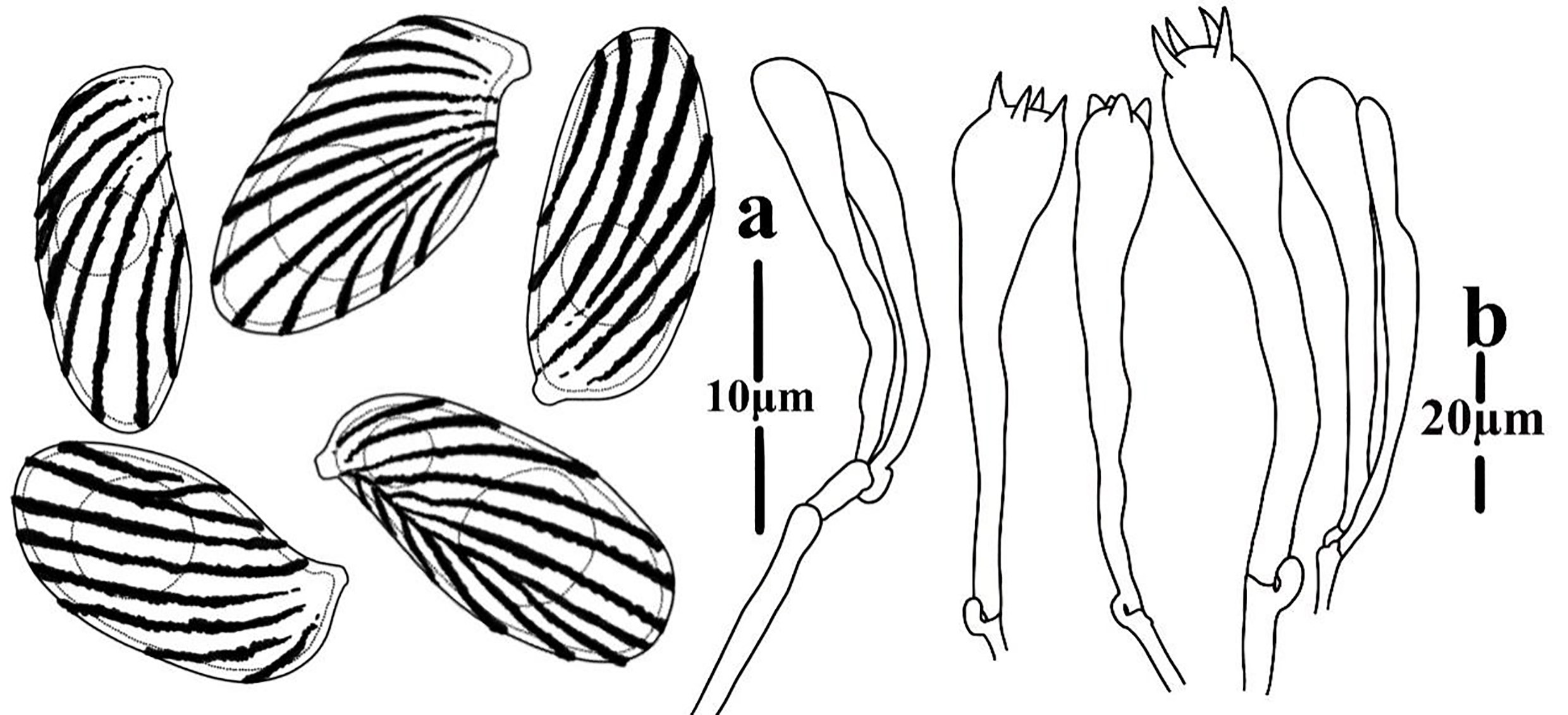 Figure 46